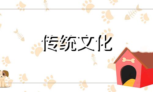 屋里摆几盆花吉利风水 屋里摆几盆花好