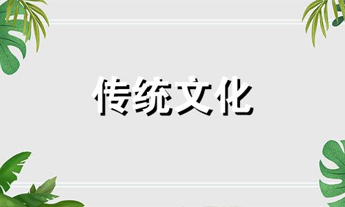家里养鸟的禁忌珍珠鸟 家里养鸟吉利吗