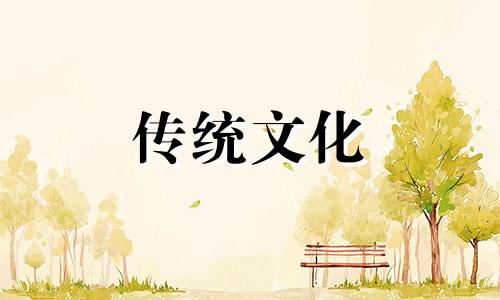 阳台一般放几盆花最好风水