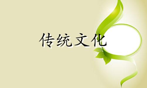 养猫风水学上有什么禁忌和讲究