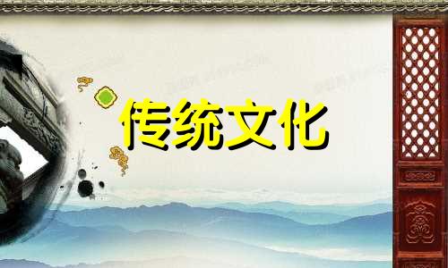家里养鹦鹉招财还是破财呢