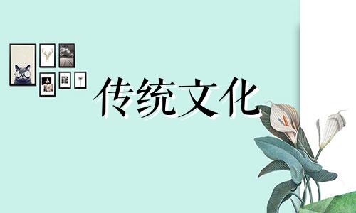 鸟笼放在入户门的门口好不好呢