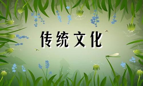 卫生间门帘风水讲究图片 卫生间门帘风水禁忌