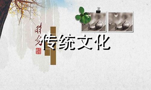 养狗对家庭风水好吗白狗还是黑狗