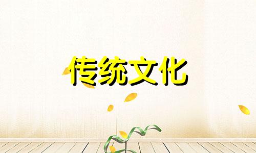 对婚姻专一的女命八字特征有哪些