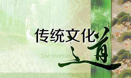 办公桌上放什么植物好旺财图片