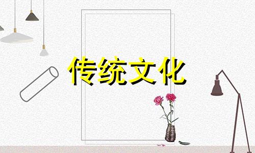 客厅摆放几盆植物最好风水