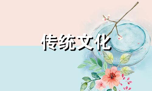 家居风水旺健康摆什么植物