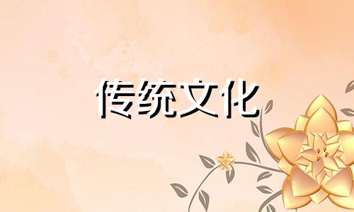 办公桌上养什么绿植好 办公桌上养什么花最好