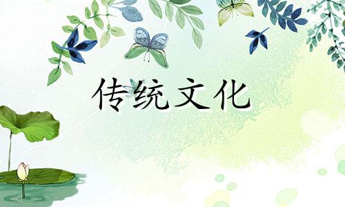 家里养什么风水好,招财,身体好
