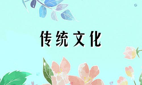 门店聚财的盆栽有哪些店铺适合摆放什么植物