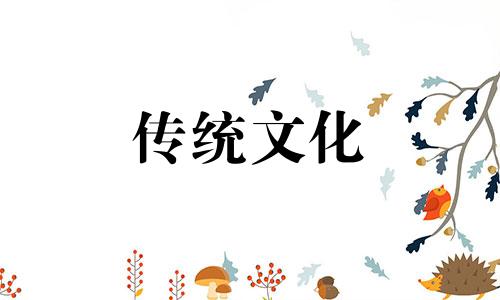 住宅财位摆放什么东西好 住宅的财位做什么最适合