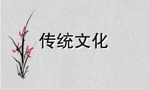 排名第一最好的镇宅树图片