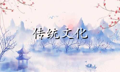 家里养什么植物可以转运 家中养什么绿植能转运