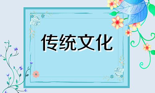 男人办公桌适合摆什么绿植