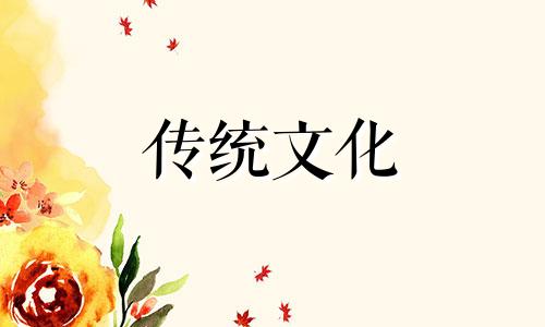 厨房放什么花风水好又旺财