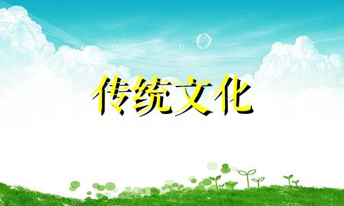 风水学养花一般养几盆十七盆花好不好