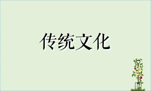 家里的假花一般放在哪里 花瓶不能空着要放什么