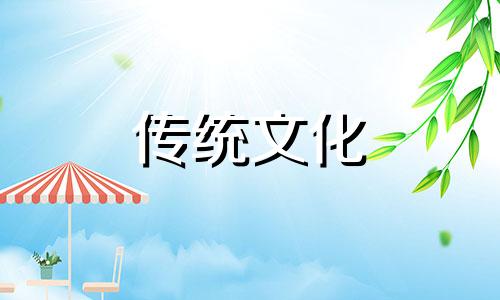 什么人适合养龟的风水呢 什么人养龟可以旺财