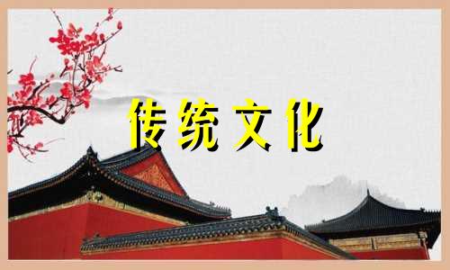 发财树摆放风水禁忌是什么