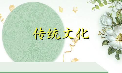 客厅摆放什么仿真花最吉利最好看