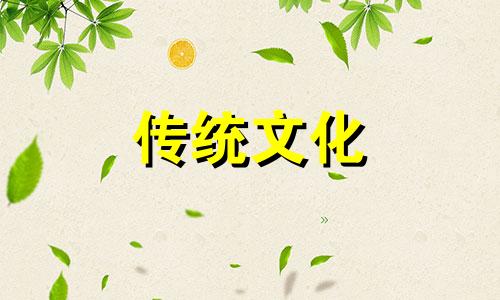 金钱树摆放位置风水讲究 金钱树摆放风水禁忌是什么