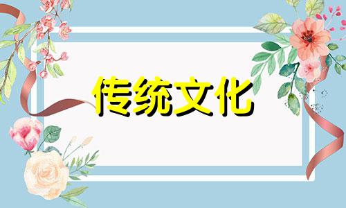 客厅养什么植物风水好,招财,身体好