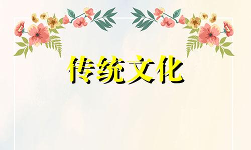 被孤立的女生一般都很漂亮