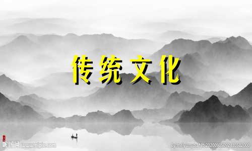 阳台风水植物什么最好 阳台摆放什么植物最好的风水