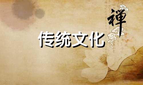 八字中常用的专业术语解释是什么