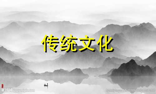 八字十二地支代表的地理之象是什么