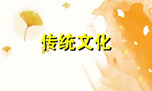 家里电视柜摆什么旺财最好
