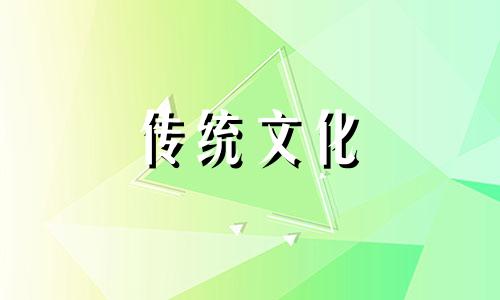 客厅电视柜上禁忌摆件花盆