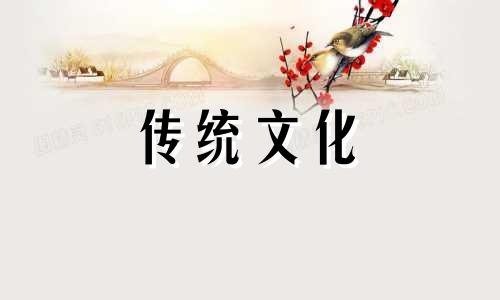 养宠物需注意的风水问题 养宠物的风水宜忌