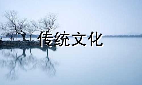 店铺风水植物招财摆放图片
