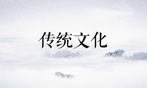 家里养花风水讲究与禁忌视频