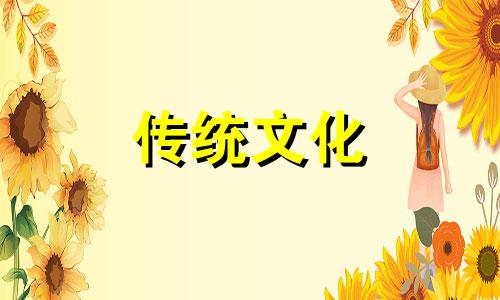 做生意买什么绿植招财 店铺植物摆放风水宜忌图