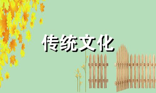 学历低的八字特征原理 学历高低一定有八字决定吗