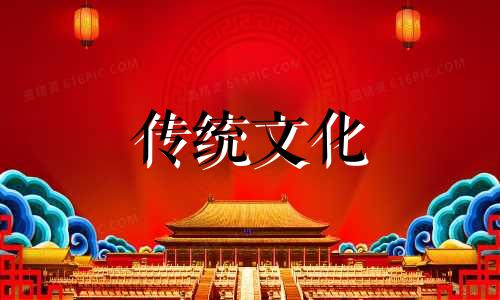 进门玄关摆放什么植物最好