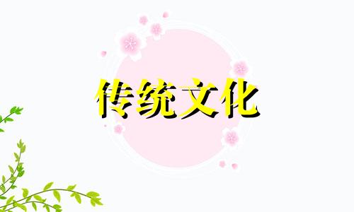 家中摆放贝壳风水好吗 家里摆放贝壳风水