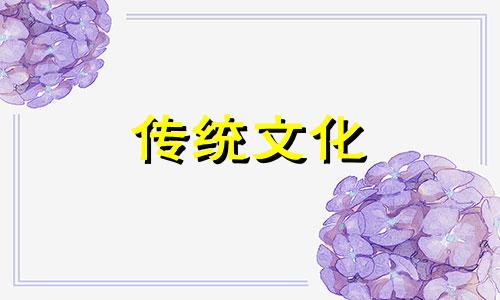 养宠物的风水讲究与禁忌有哪些