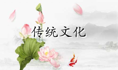 浴室摆放的禁忌风水图 浴室摆放什么风水摆件好