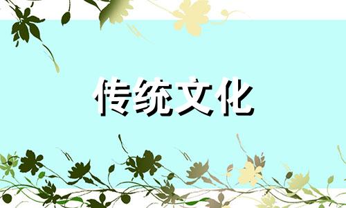 八种植物招财又旺宅图片 八种植物招财又旺宅喜阴