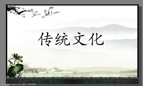家里摆放假花风水好不好呢