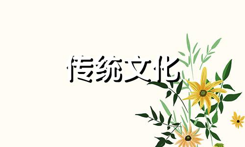 属虎办公桌摆放风水正确图