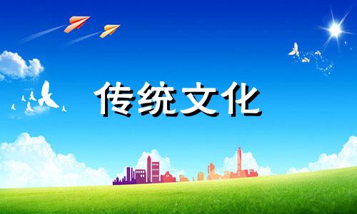 仙人掌风水摆放讲究图片 仙人掌的风水摆放禁忌