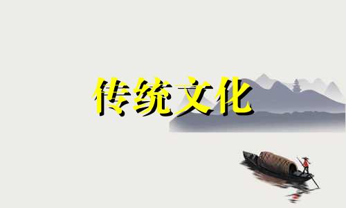 富贵竹办公室摆放风水有什么讲究?