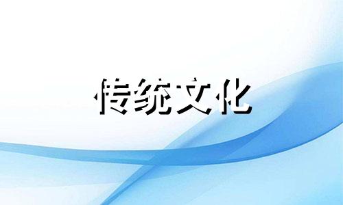 龙龟的摆放风水及禁忌图片