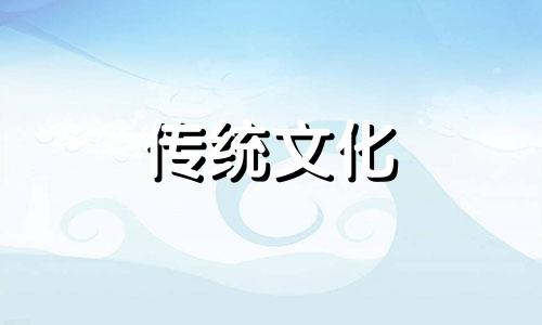 养乌龟的风水讲究与禁忌是什么
