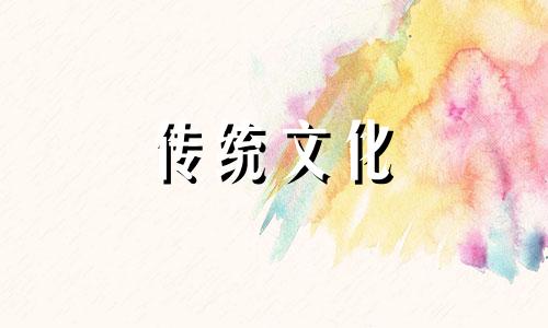 家里植物摆放风水禁忌有哪些